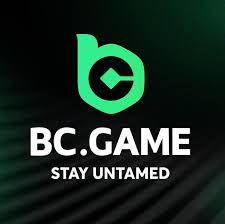 Experience Thrilling Gameplay with BC.Game Plinko App