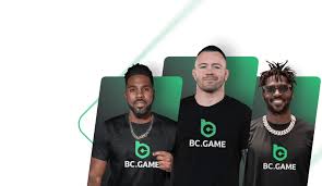 Experience the Thrill of Online Gaming at BC.Game Casino