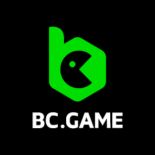 Exploring Payment Methods on BC.Game A Comprehensive Guide